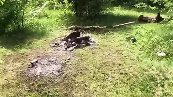 Tattoed Babe Hard Rough Sex Outdoor in the Forest