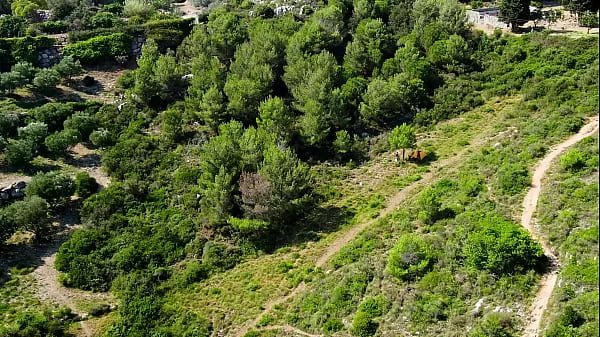 Look what my drone just caught!!!