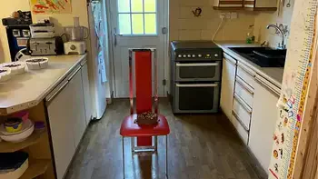 Fuck-ups and Behind the Scenes (WAM Outtakes) Part 2