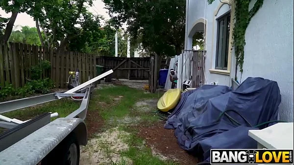 Open House, Open Mouth Brickzilla, Dwayne Foxxx, Stephanie Love