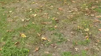 Brunette, natural tits, sucks cock in front of her house, part 2