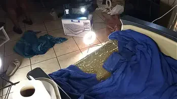 Big Thick Booty Ebony Pussy Fucking