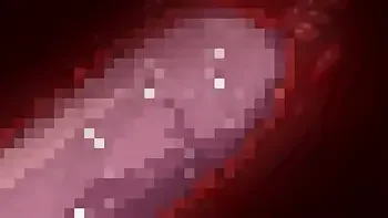 подборка нарезка минет аниме хентай 34 часть