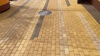 We Film a Crazy Vacation Video with Hard Spanking