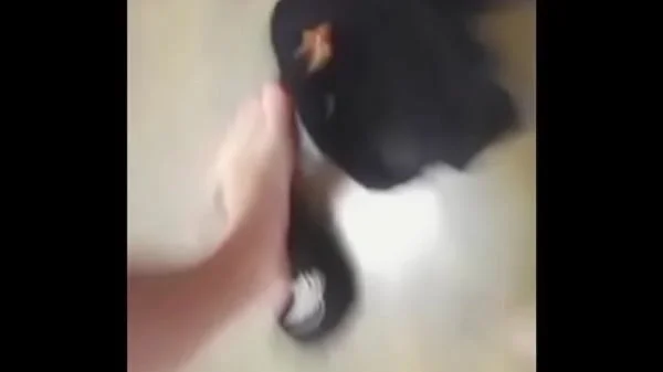 Real wife's betrayal with her husband's best friend