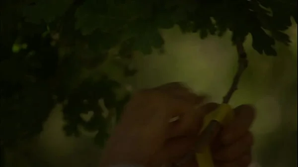 Cassie Courtland Gets Fucked Out On The Farm