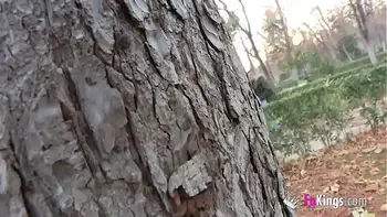 Hi, good man, I'm just divorced and I fuck anything. Care if I suck your cock right here in the park?