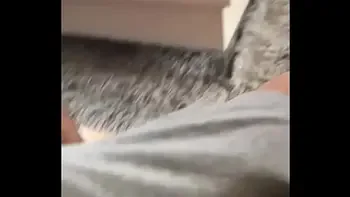 Young Bitch Angel Emily Ass Fucked