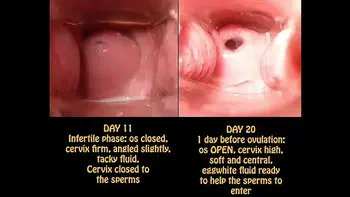 It's easy and quickly make a b.