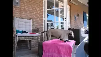 My Free Chatroom is Girls4cock.com/siswet  *** Cumming Outside with my big Friend