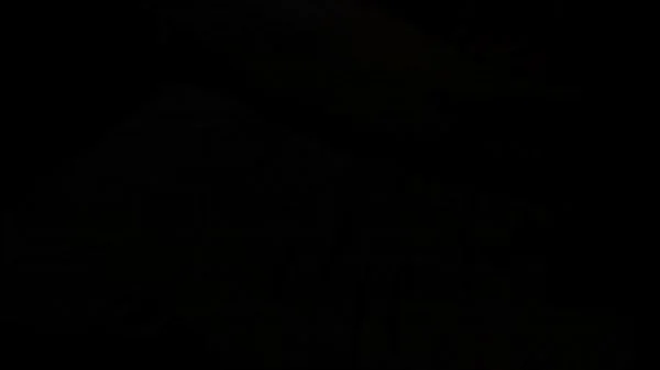 The Family Economy - Lexi Lore - Family Therapy - Preview