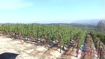 Took a hot amateur girl on a trip and banged her on the deck out in the open (Paris White)