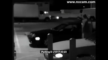 Security Camera Captures Blowjob on Car