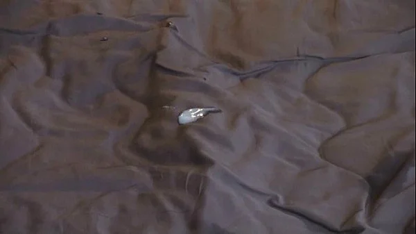 Jade Jamison Birthday GangBang Interracial anal threesome