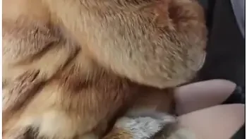 Redhead Was Fucked In Tight Ass. High Heels. Leather Gloves - Otta Koi