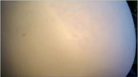 She Loves Public Doggy And Cum Swallowing