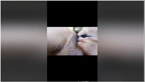 I Was Doing A Striptease For The Camera And Got Horny