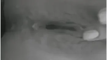 And Squirt! Pornohub