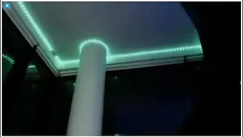 Strella Kat Weekend Pussy