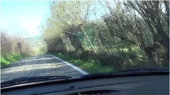 Dolls Cult - Another Day Of Madness During The Coronavirus Quarantine