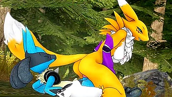 Renamon And Lucario