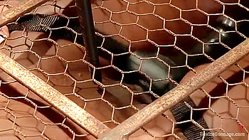 Ana Foxxx - Runway Model Turned Slut Gets Destroyed