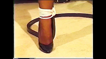 The nightstalker liked his prey in stockings and nothing else