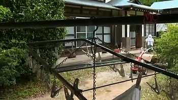 NPL384-DFTXIDLVBN694782219