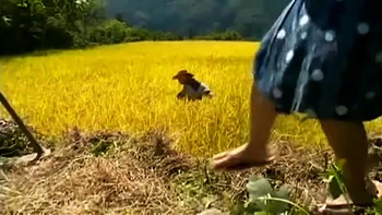 WYZ111-WNJKQFGTTP181999780