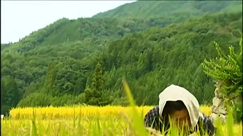 WHY076-GMHKMLYATY955266480