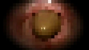 VVE147-WOVIDIBUTG288163820