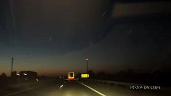 How Many Times She Peed On A 10h Road Trip