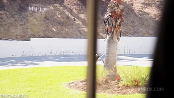 Stepdaddy's Creampie For Destiny Cruz