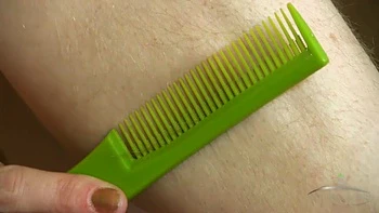 Ana Molly plays with her bush