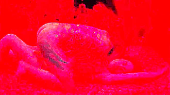 Excellent Sex Movie Hd Unbelievable Exclusive Version