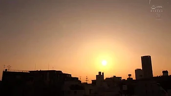 x1x9DE9CED15DD8CE5C75