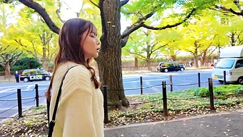 NOCQSCAIIOZADGULTO52SONE740