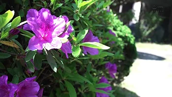 x1xF4C0188BC7BFDE5A77