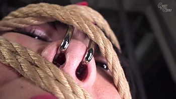 x1xB2225586D0A995BED4