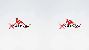 VR 4: Blowjob, Doggy  Cowgirl Porn