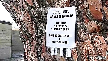 Mini Stallion In Bbc Video With Tempting From