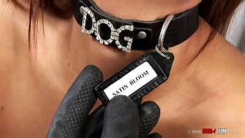 Hot milk is in Bloom [Part 2]