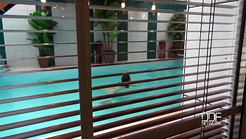 Lascivious Looks - A Cock Sucking Hottie At The Swimming Pool