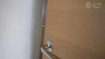 0012247_ストッキング ぱんぱん 黒ストなどが含まれている