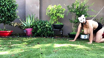 Slutty Bunny Training