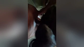 Wife Blow Job At Bathroom