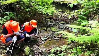 GWCWIYXYJLUUAKOXEPm47CAWD886