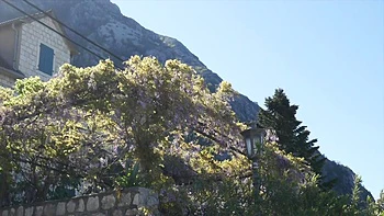 An improvised show that ends in an exceptional orgy... - Jacquie et Michel TV