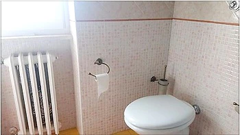 My Stepaunt On Toilet