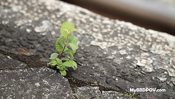 Busty Pornstar Tarra White's Gaping Butthole Fucked in POV